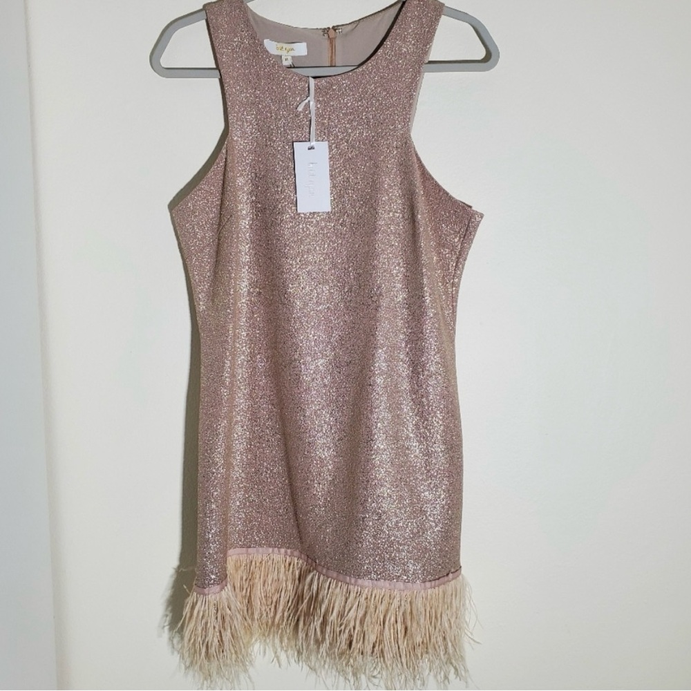 Britt Ryan Sleeveless Lame Ostrich Feather Hem Dress